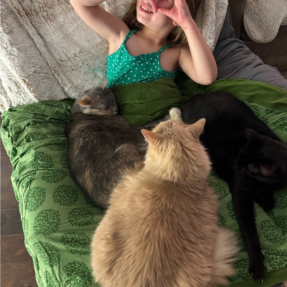 Anthropologie by Leah Reena Goren Feline Karma Dress - Picture 4 of 7